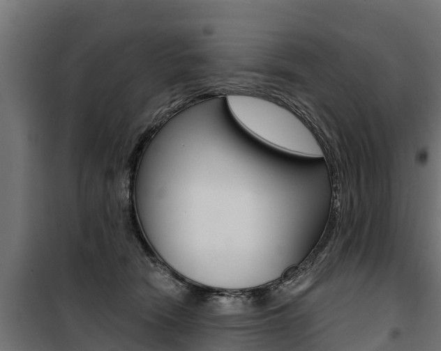 X0000100750466200806190827