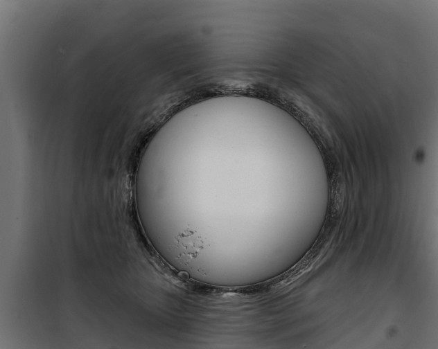 X0000100750467200806190827