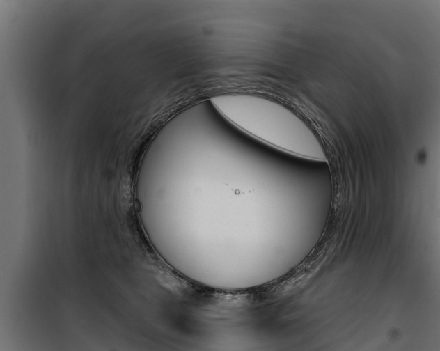 X0000100750469200806190827