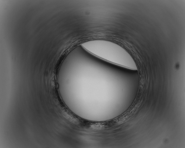 X0000100750470200806190827