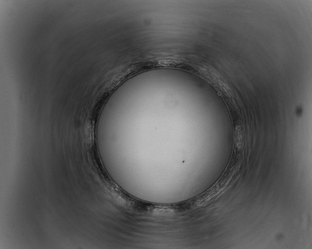 X0000100750471200806190827