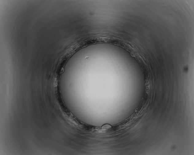 X0000100750472200806190827