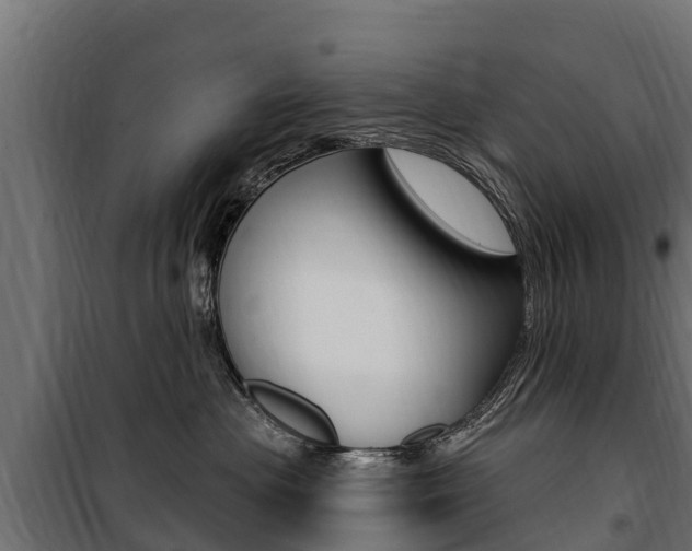 X0000100750477200806190827