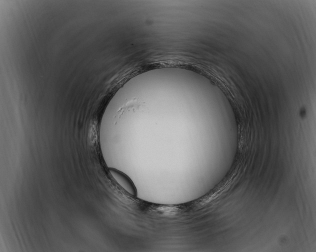 X0000100750478200806190827