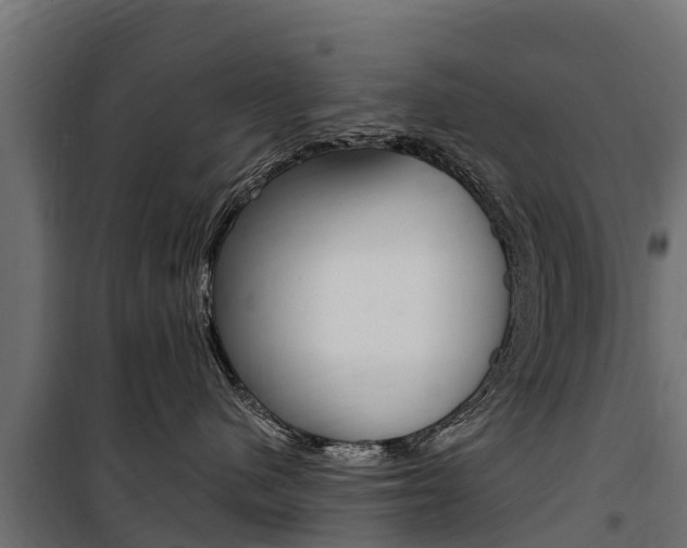 X0000100750480200806190827
