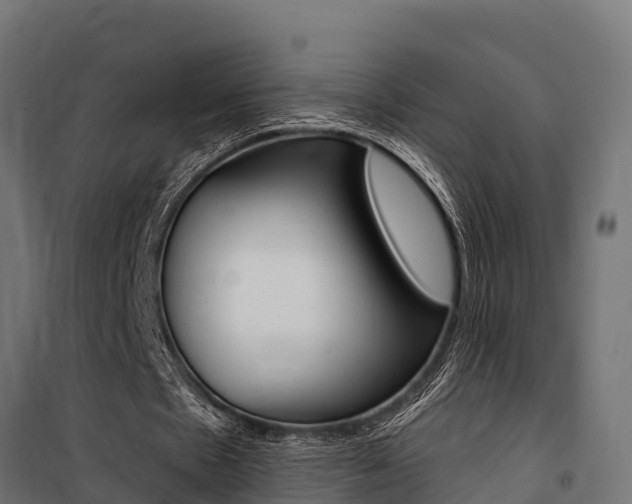 X0000100750481200806190827