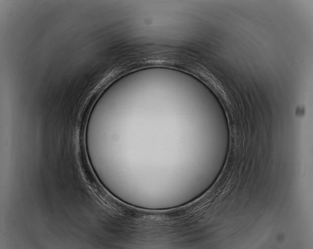 X0000100750482200806190827