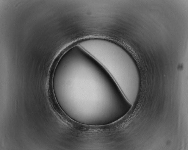 X0000100750484200806190827