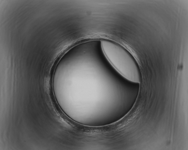 X0000100750485200806190827