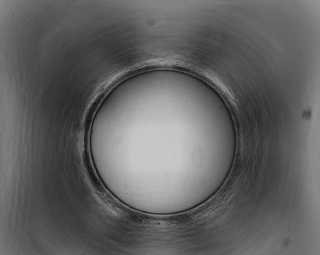 X0000100750486200806190827