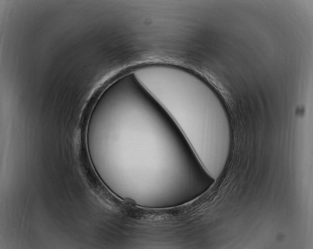 X0000100750488200806190827