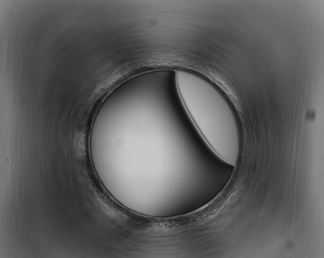 X0000100750489200806190826