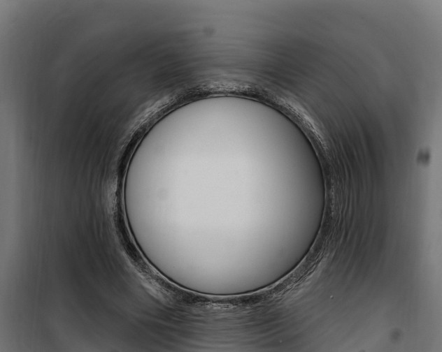 X0000100750490200806190826