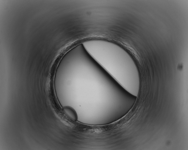 X0000100750492200806190826