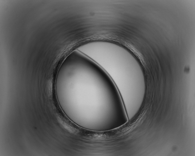 X0000100750493200806190826