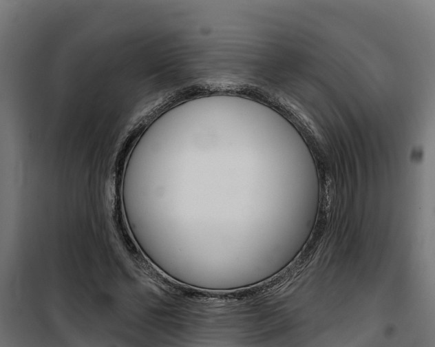 X0000100750494200806190826