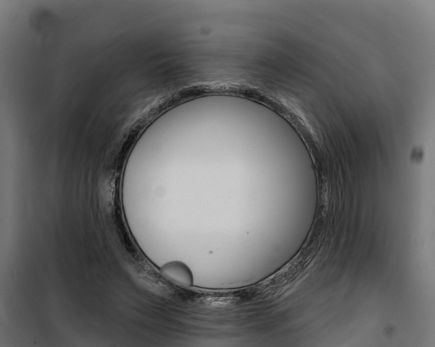 X0000100750495200806190826
