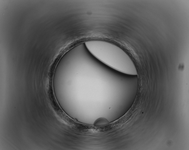 X0000100750496200806190826
