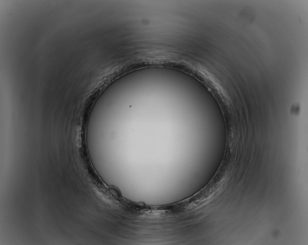 X0000100750497200806190826