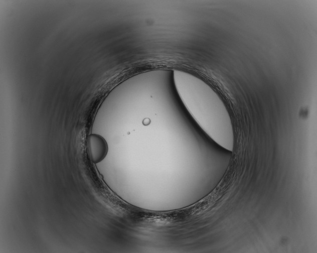 X0000100750498200806190826