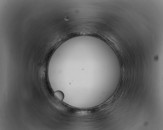 X0000100750499200806190826