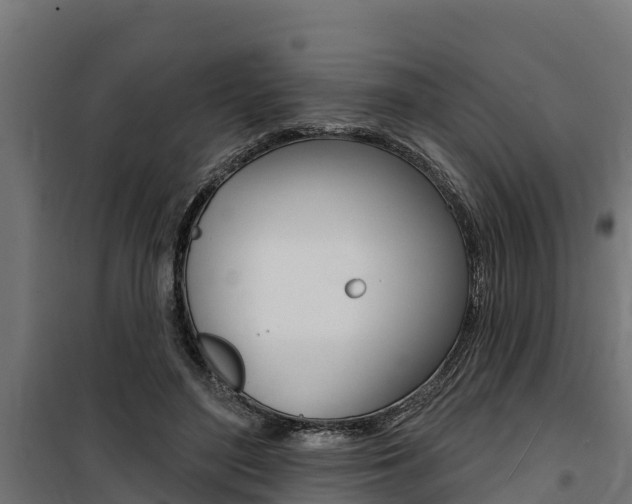 X0000100750500200806190826