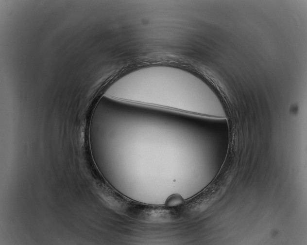X0000100750501200806190826