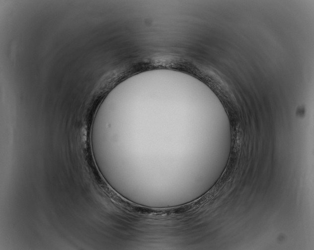 X0000100750502200806190826