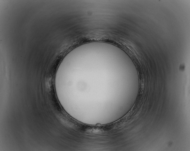 X0000100750503200806190826