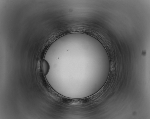 X0000100750504200806190826
