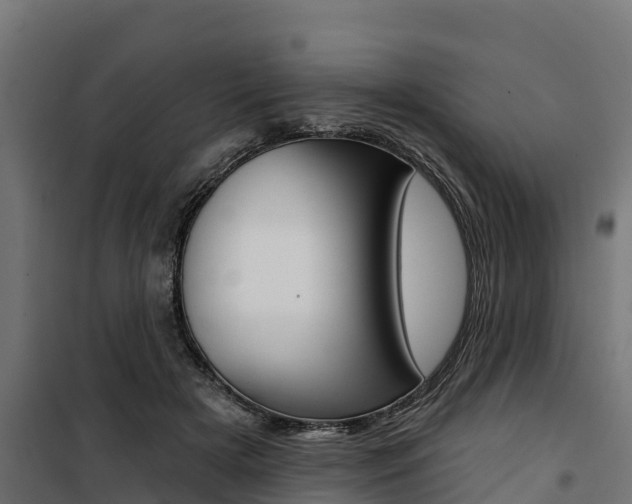 X0000100750505200806190826