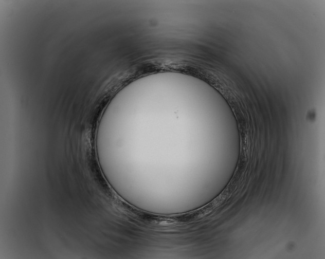 X0000100750506200806190826