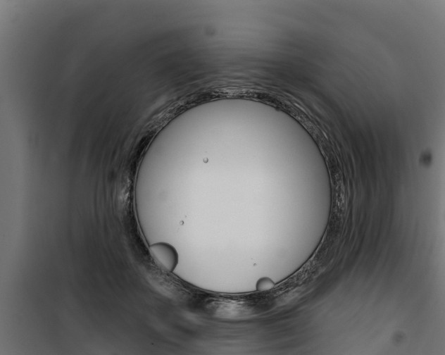 X0000100750507200806190826