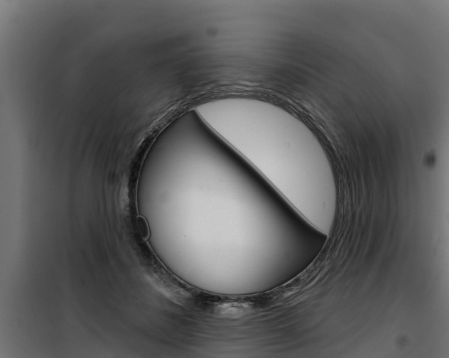 X0000100750508200806190826