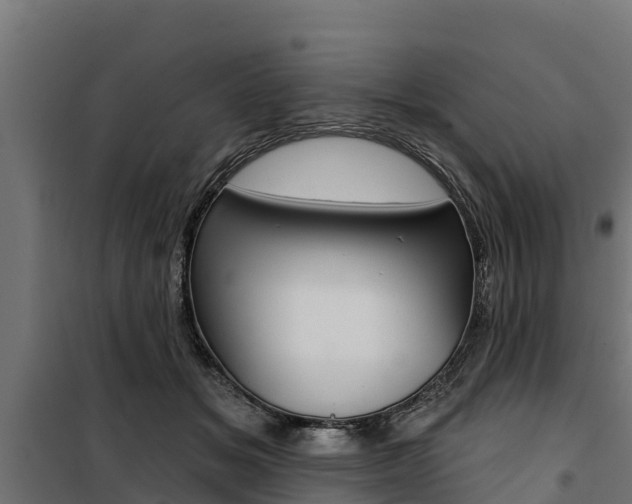 X0000100750509200806190826