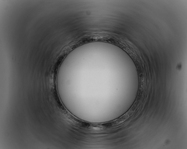 X0000100750510200806190826