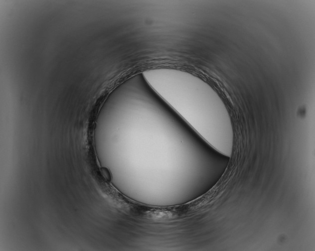 X0000100750512200806190826