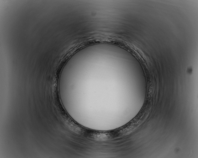 X0000100750513200806190826