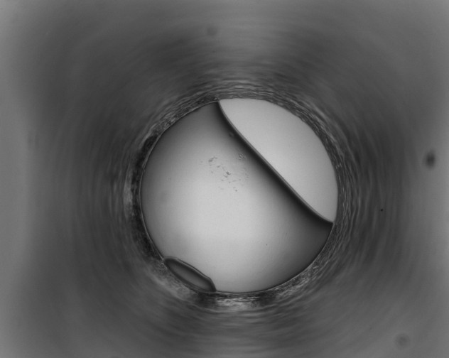 X0000100750516200806190826