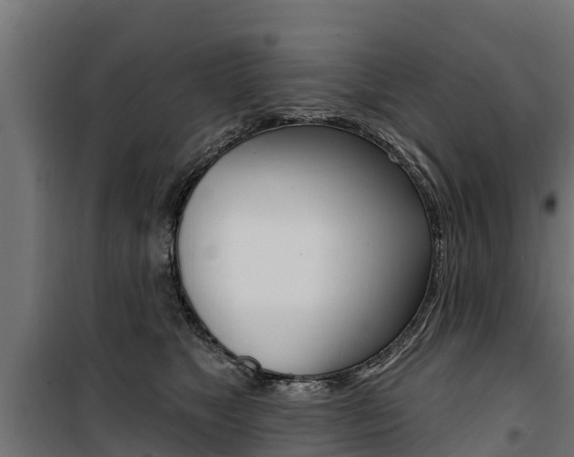 X0000100750517200806190826
