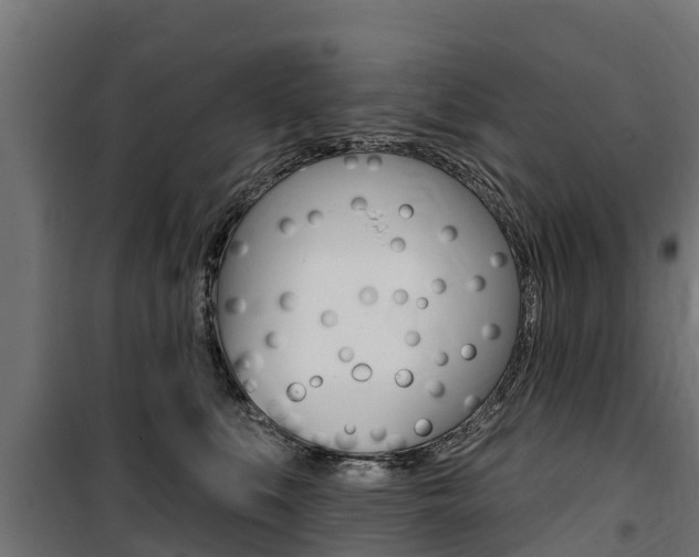 X0000100750519200806190826