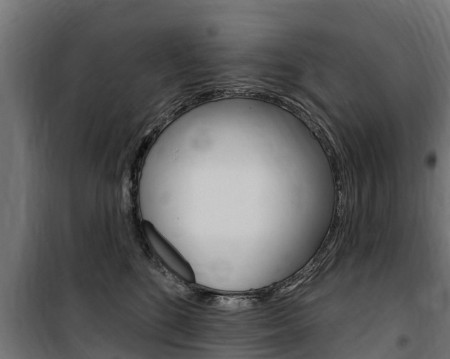 X0000100750520200806190826