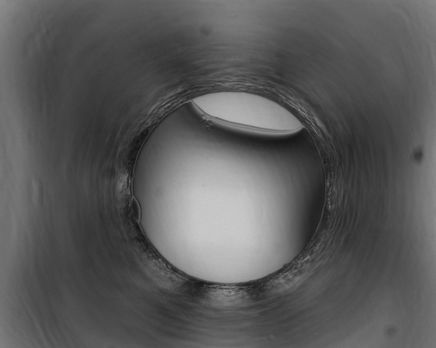 X0000100750521200806190826