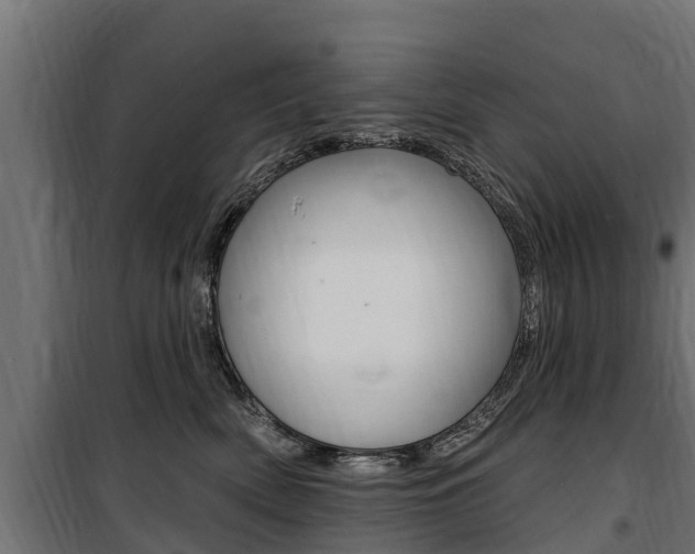 X0000100750522200806190826