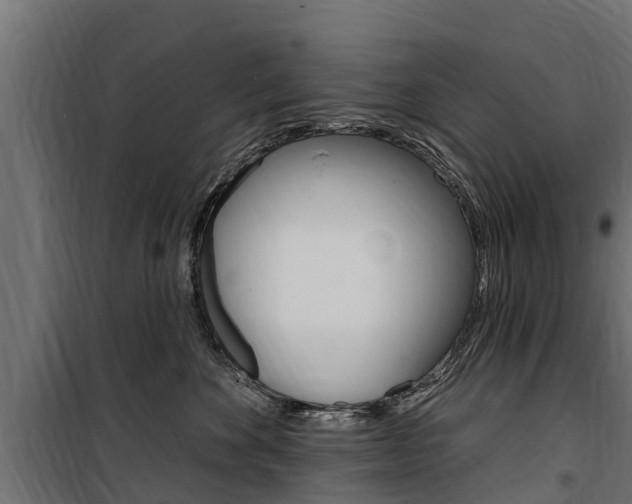 X0000100750524200806190826
