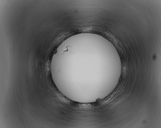 X0000100750525200806190826