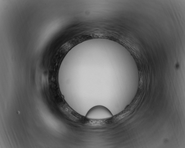 X0000100750526200806190826