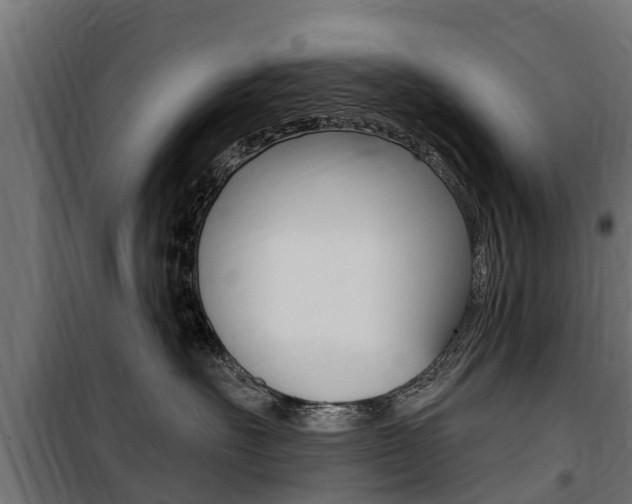X0000100750527200806190826