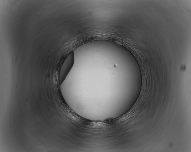 X0000100750528200806190826