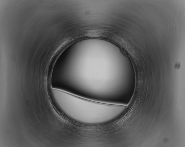 X0000100750530200806190825